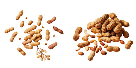 Wall Mural - transparent background with peanuts