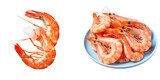 transparent background with fresh shrimp isolated