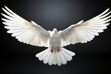 Front View Of A White Dove With Open Wings Symbol Of The Holy Spirit On Black Background Generative AI Illustration