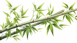 hand drawn cartoon bamboo illustration
