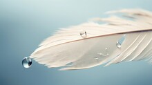  A White Feather With Water Drops Hanging From It's Side.  Generative Ai