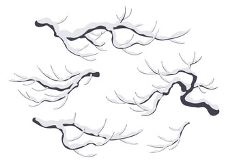 Wall Mural - Snow Covered Tree Branches Isolated on White