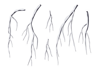 Wall Mural - Snow Covered Weeping Willow Tree Branches