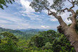 Scenery of National Kinabalu Park, Taman Negara Kinabalu, in Sabah, East Malaysia