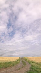 Wall Mural - time lapse of clouds at sunset, clouds in the sky timelapse