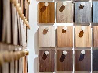 Wall Mural - set of wood samples board hanging on material swatch wall display in material library. wooden lamina