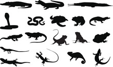 Set Of Reptile Vector Silhouettes, Isolated On White Background