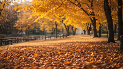 Canvas Print - Beautiful autumn landscape with. Colorful foliage in the park. Falling leaves natural background