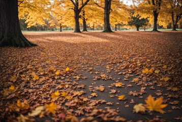 Canvas Print - Beautiful autumn landscape with. Colorful foliage in the park. Falling leaves natural background