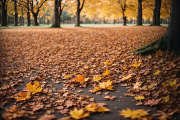 Wall Mural - Beautiful autumn landscape with. Colorful foliage in the park. Falling leaves natural background