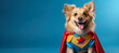 © fotogurme - Dog in the charming costume of a superhero isolated on a vivid background with a place for text