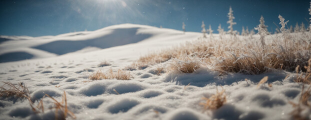 Wall Mural - winter space of snow