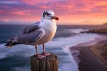 A Lone Little Seagull Atop A Weathered Wooden Pole Amidst The Rugged Beauty Of The Landscape. Beautiful Seagull Next To The Ocean In A Moment Of Serene Tranquility With The Sunset In The Background.