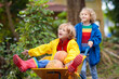 © famveldman - Kids on pumpkin patch. Child autumn outdoor fun.