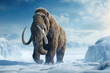 A woolly mammoth walking across a frozen tundra