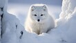 Thick fur adorns Arctic foxes, keen senses guide them through icy domains.