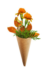 Wall Mural - Wild marigold flowers and autumn leaves in craft paper cornet isolated on white  or transparent background. Seasonal bouquet.