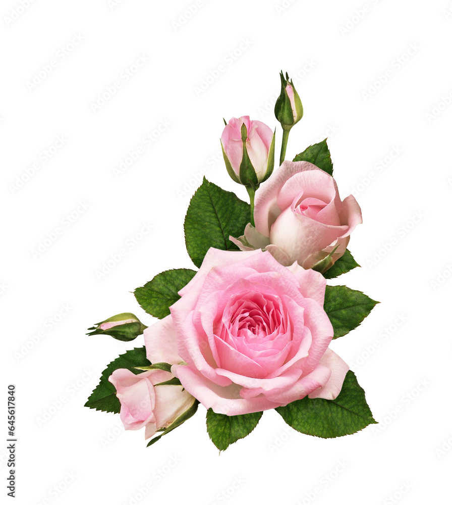 Pink rose flowers in a corner floral arrangement isolated on white or ...
