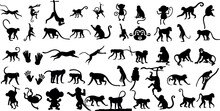  A Set Of Monkey Silhouettes On A White Background. Perfect For Designs About Animals, Nature, Wildlife, Primates, Monkeys, Apes, Jungle, Rainforest, Conservation, And Education