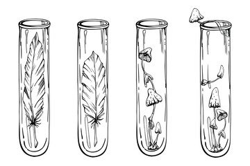 Hand drawn ink vector glass vial test tube, bird feather mushrooms. Illustration art witchcraft, medicine chemistry, alchemy. Isolated object outline. Design shops, logo, print, website, card, booklet