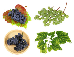 Canvas Print - Wine grape set