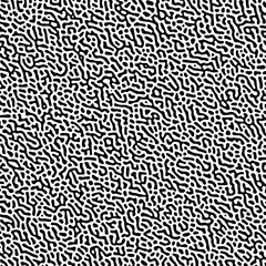 Canvas Print - Vector-illustrated turing pattern with chaotic curved details in white and black

Vector Formats 