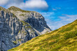 Sommer auf dem Madritsche Gipfel in den österreichisch-italienischen Alpen. Kombination aus massiven Felsformationen mit saftig grünen Wiesen. 