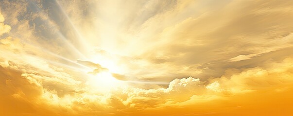 Wall Mural - golden hour. peaceful summer sunset. nature evening beauty. warm sky. dusk delight