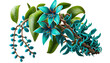 jade vine, strongylodon macrobotrys, rare, stunning, turquoise, flowers, 3d render, transparent background, png, cutout, vine, exotic, tropical, botanical, plant, floral, greenery, ornamental, decorat