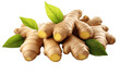 Vibrant Ginger Root Isolated on a Transparent Background PNG. Generative AI