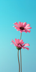 Two pink simple flowers on turquoise sky minimalistic background