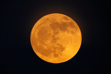 Wall Mural - moon looks orange and you can see the craters. photography taken with a telescope.