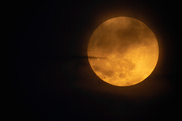Wall Mural - moon looks orange and you can see the craters. photography taken with a telescope.