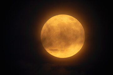 Wall Mural - moon looks orange and you can see the craters. photography taken with a telescope.