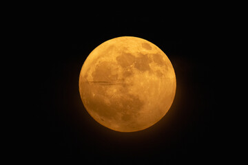 Wall Mural - moon looks orange and you can see the craters. photography taken with a telescope.