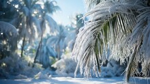 Green Leaf Tropical Palm Trees In Snow Against The Blue Sky. Christmas Winter Tale. Global Climate Change.