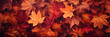 Herbstlicher Hintergrund Banner mit bunten Blättern