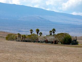 Wall Mural - panoramic view of landscape along highway 200 on Big Island