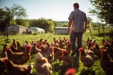  Farmer Tends To Free-range Chickens In A Green, Earth-friendly Farming Ambiance