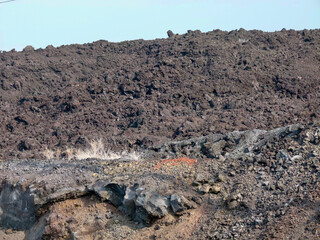 Wall Mural - panoramic view of landscape along highway 11 on Big Island