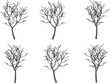 Vector sketch illustration design of a shady tree with many branches without leaves in autumn
