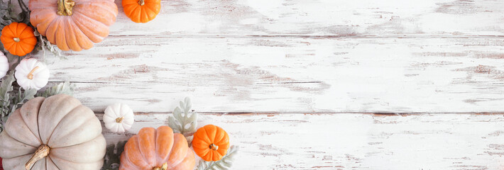 Poster - Fall corner border of assorted pumpkins and soft green leaves over a rustic white wood banner background. Top view with copy space.