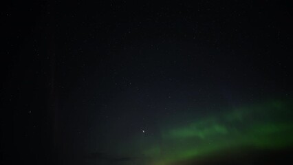 Wall Mural - Aurora Borealis and Steve phenomenon dancing in the night sky. Timelapse. 