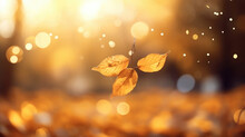 Golden Autumn Bokeh Immerse Yourself In The Warm Hues Of Autumn As Falling Leaves Create A Bokeh Spectacle. The Golden Sunlight Filtering Through The Foliage Adds A Touch Of Magic To This