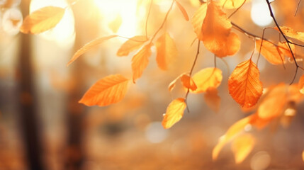 Wall Mural - autumn leaves bokeh embrace the beauty of autumn as falling leaves create a picturesque bokeh effect