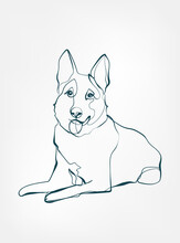 German Shepards Dog Breed Animal Vector Line Art One Line Sketch Outline