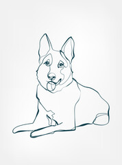 Wall Mural - German Shepards dog breed animal vector line art one line sketch outline