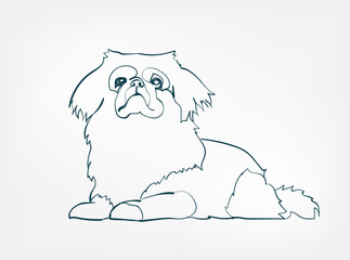 Wall Mural - Pekingese dog breed animal vector line art one line sketch outline