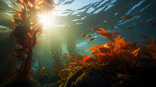An Aquarium’s Kelp Forest, Giant Kelp Swaying In The Artificial Current, Garibaldi Fish Darting About. Late Afternoon Lighting