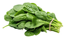 Bundle Of Fresh Spinach Isolated On Transparent And White Background, Top View
